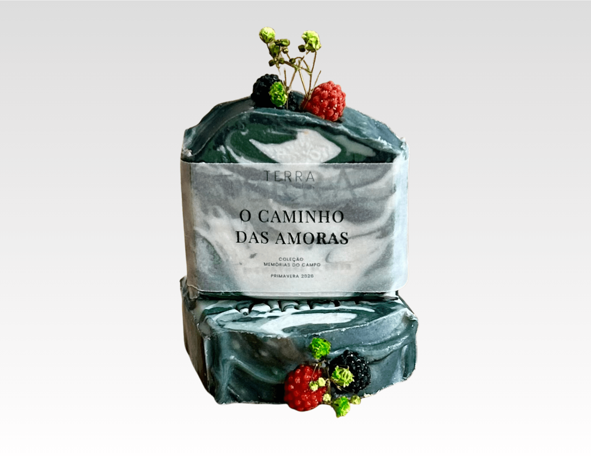 Coleção Memórias do Campo - O Caminho das Amoras